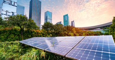 How Trump’s Tax Plan for Renewables Will Remake US Energy Use