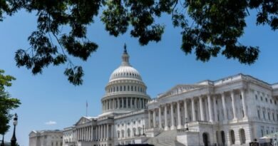 GOP Energy Policy: What the New Policy Means for the U.S.