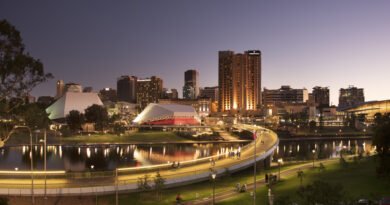 How South Australia Became a Pioneer in Renewable Distribution Grids