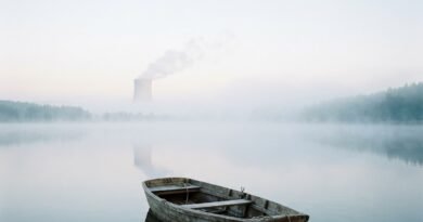Wooden rowing boat on a misty Czech lake with a distant cooling tower, representing Temelín SMR environmental review